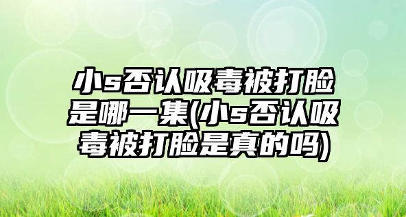 小s否認吸毒被打臉是哪一集(小s否認吸毒被打臉是真的嗎)