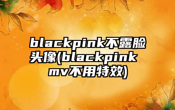 blackpink不露臉頭像(blackpink mv不用特效)