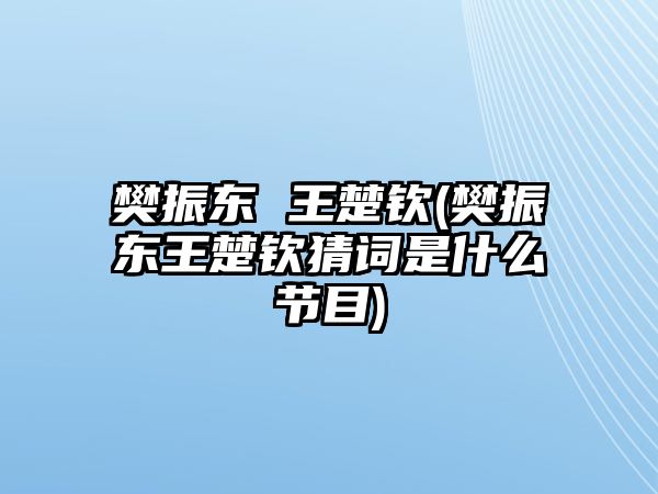 樊振東 王楚欽(樊振東王楚欽猜詞是什么節目)