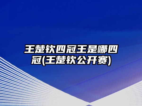 王楚欽四冠王是哪四冠(王楚欽公開(kāi)賽)