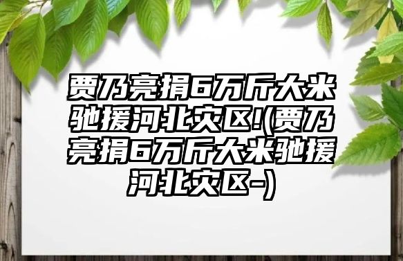 賈乃亮捐6萬(wàn)斤大米馳援河北災區!(賈乃亮捐6萬(wàn)斤大米馳援河北災區-)