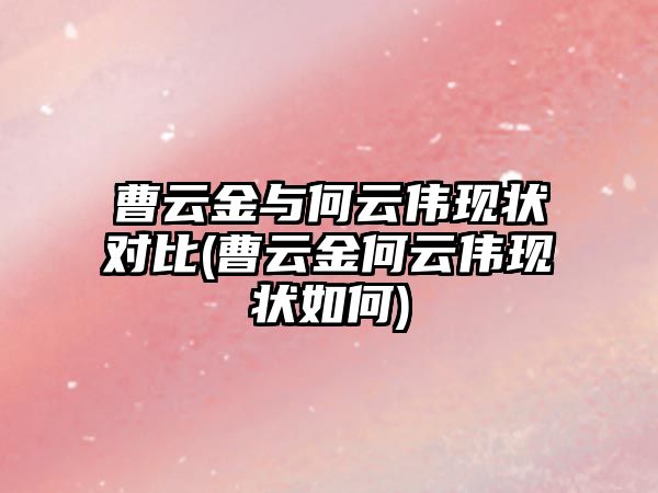 曹云金與何云偉現狀對比(曹云金何云偉現狀如何)