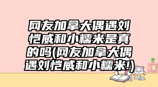 網(wǎng)友加拿大偶遇劉愷威和小糯米是真的嗎(網(wǎng)友加拿大偶遇劉愷威和小糯米!)