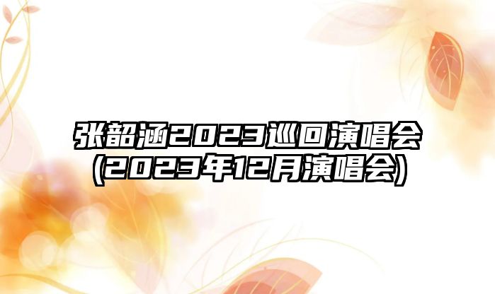 張韶涵2023巡回演唱會(huì )(2023年12月演唱會(huì ))