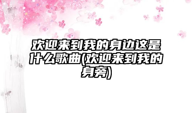 歡迎來(lái)到我的身邊這是什么歌曲(歡迎來(lái)到我的身旁)