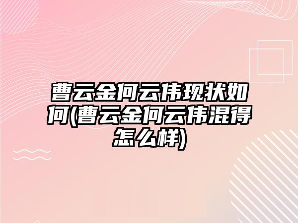 曹云金何云偉現狀如何(曹云金何云偉混得怎么樣)