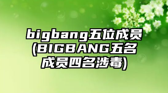 bigbang五位成員(BIGBANG五名成員四名涉毒)