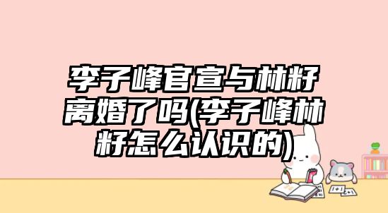 李子峰官宣與林籽離婚了嗎(李子峰林籽怎么認識的)