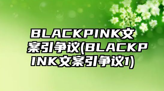 BLACKPINK文案引爭議(BLACKPINK文案引爭議1)