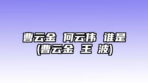 曹云金 何云偉 誰(shuí)是(曹云金 王玥波)