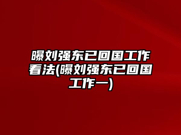 曝劉強東已回國工作看法(曝劉強東已回國工作一)