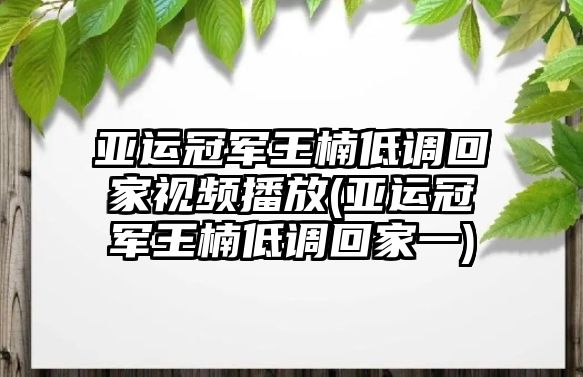 亞運冠軍王楠低調回家視頻播放(亞運冠軍王楠低調回家一)