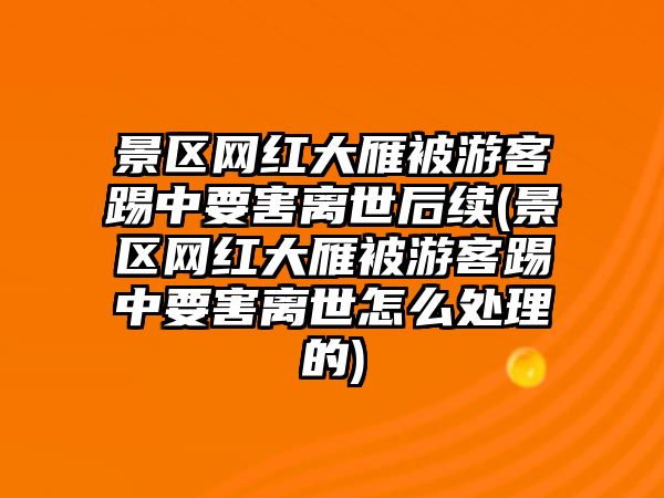 景區網(wǎng)紅大雁被游客踢中要害離世后續(景區網(wǎng)紅大雁被游客踢中要害離世怎么處理的)