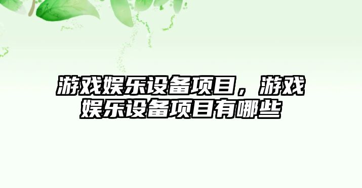 游戲娛樂(lè )設備項目，游戲娛樂(lè )設備項目有哪些