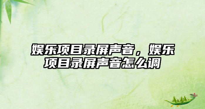 娛樂(lè )項目錄屏聲音，娛樂(lè )項目錄屏聲音怎么調