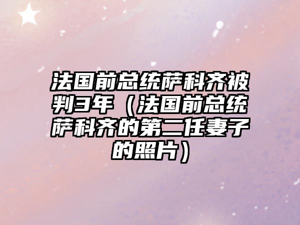 法國前總統薩科齊被判3年（法國前總統薩科齊的第二任妻子的照片）