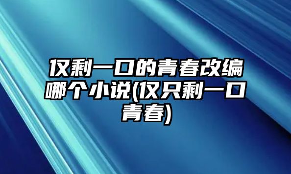 僅剩一口的青春改編哪個(gè)小說(shuō)(僅只剩一口青春)