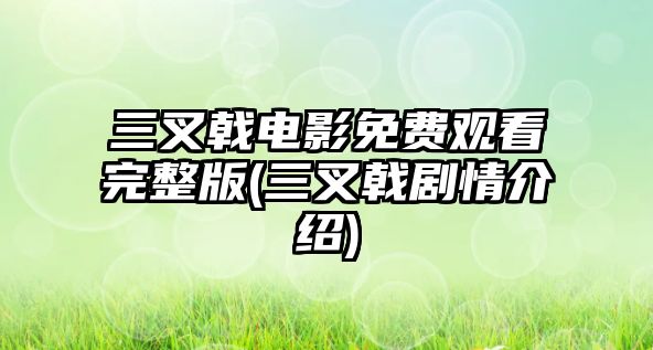 三叉戟電影免費觀(guān)看完整版(三叉戟劇情介紹)