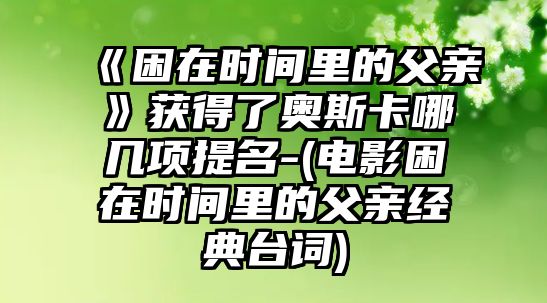 《困在時(shí)間里的父親》獲得了奧斯卡哪幾項提名-(電影困在時(shí)間里的父親經(jīng)典臺詞)