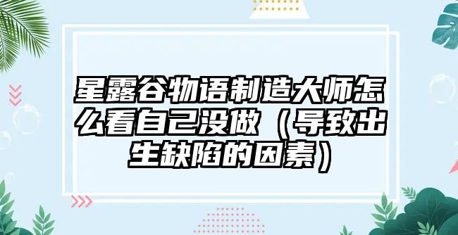 星露谷物語(yǔ)制造大師怎么看自己沒(méi)做（導致出生缺陷的因素）