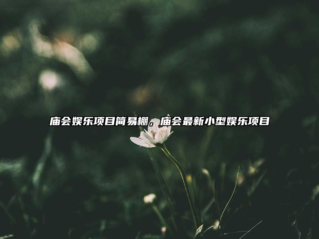 廟會(huì )娛樂(lè )項目簡(jiǎn)易棚，廟會(huì )最新小型娛樂(lè )項目