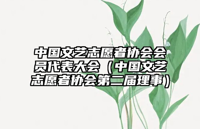 中國文藝志愿者協(xié)會(huì )會(huì )員代表大會(huì )（中國文藝志愿者協(xié)會(huì )第二屆理事）