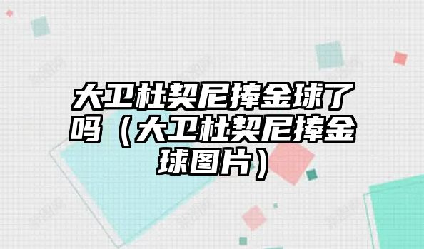 大衛杜契尼捧金球了嗎（大衛杜契尼捧金球圖片）