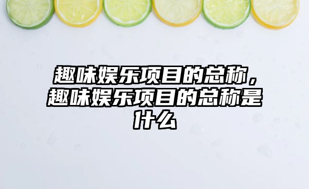 趣味娛樂(lè )項目的總稱(chēng)，趣味娛樂(lè )項目的總稱(chēng)是什么