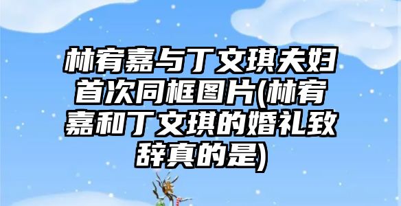 林宥嘉與丁文琪夫婦首次同框圖片(林宥嘉和丁文琪的婚禮致辭真的是)