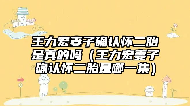 王力宏妻子確認懷二胎是真的嗎（王力宏妻子確認懷二胎是哪一集）