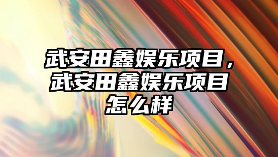 武安田鑫娛樂(lè )項目，武安田鑫娛樂(lè )項目怎么樣