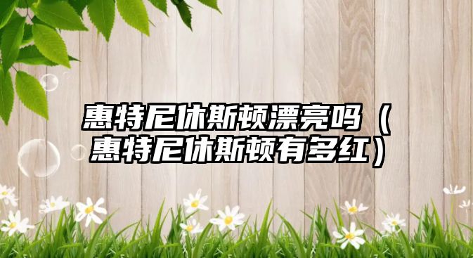 惠特尼休斯頓漂亮嗎（惠特尼休斯頓有多紅）