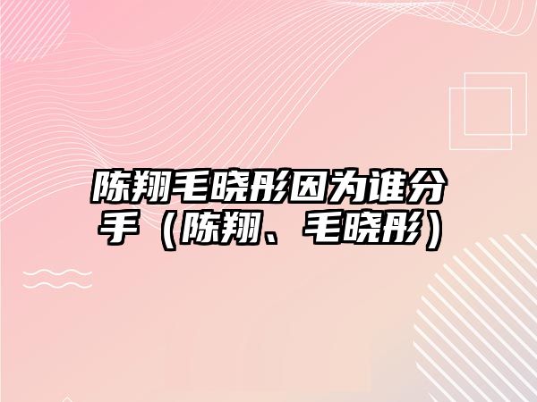 陳翔毛曉彤因為誰(shuí)分手（陳翔、毛曉彤）