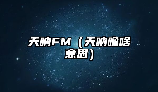 天吶FM（天吶嚕啥意思）