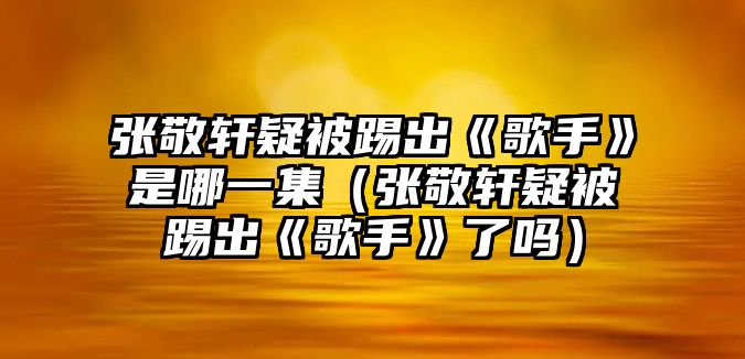 張敬軒疑被踢出《歌手》是哪一集（張敬軒疑被踢出《歌手》了嗎）