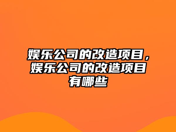 娛樂(lè )公司的改造項目，娛樂(lè )公司的改造項目有哪些