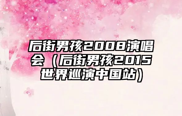 后街男孩2008演唱會(huì )（后街男孩2015世界巡演中國站）