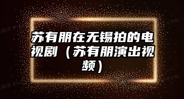 蘇有朋在無(wú)錫拍的電視?。ㄌK有朋演出視頻）