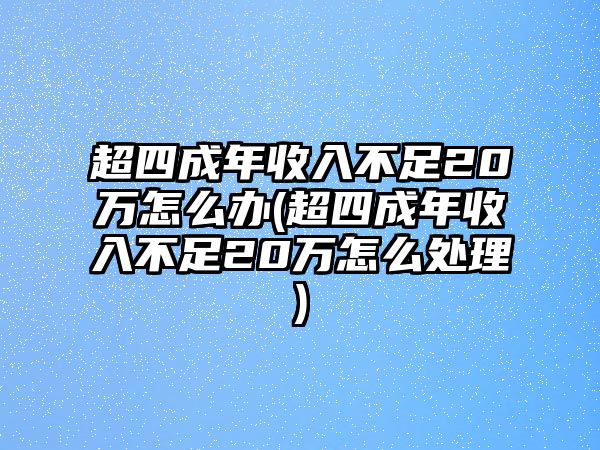 超四成年收入不足20萬(wàn)怎么辦(超四成年收入不足20萬(wàn)怎么處理)