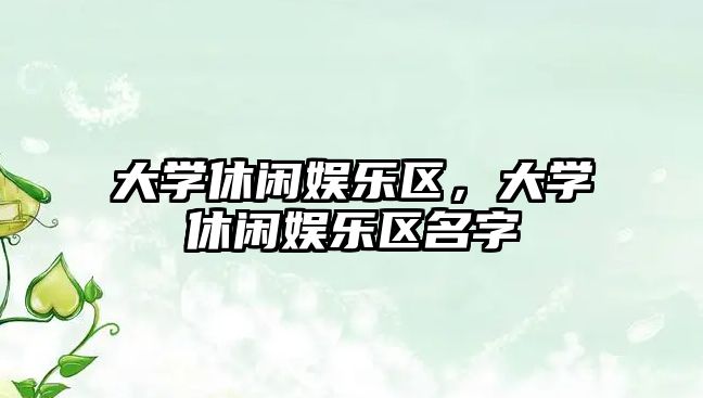 大學(xué)休閑娛樂(lè )區，大學(xué)休閑娛樂(lè )區名字