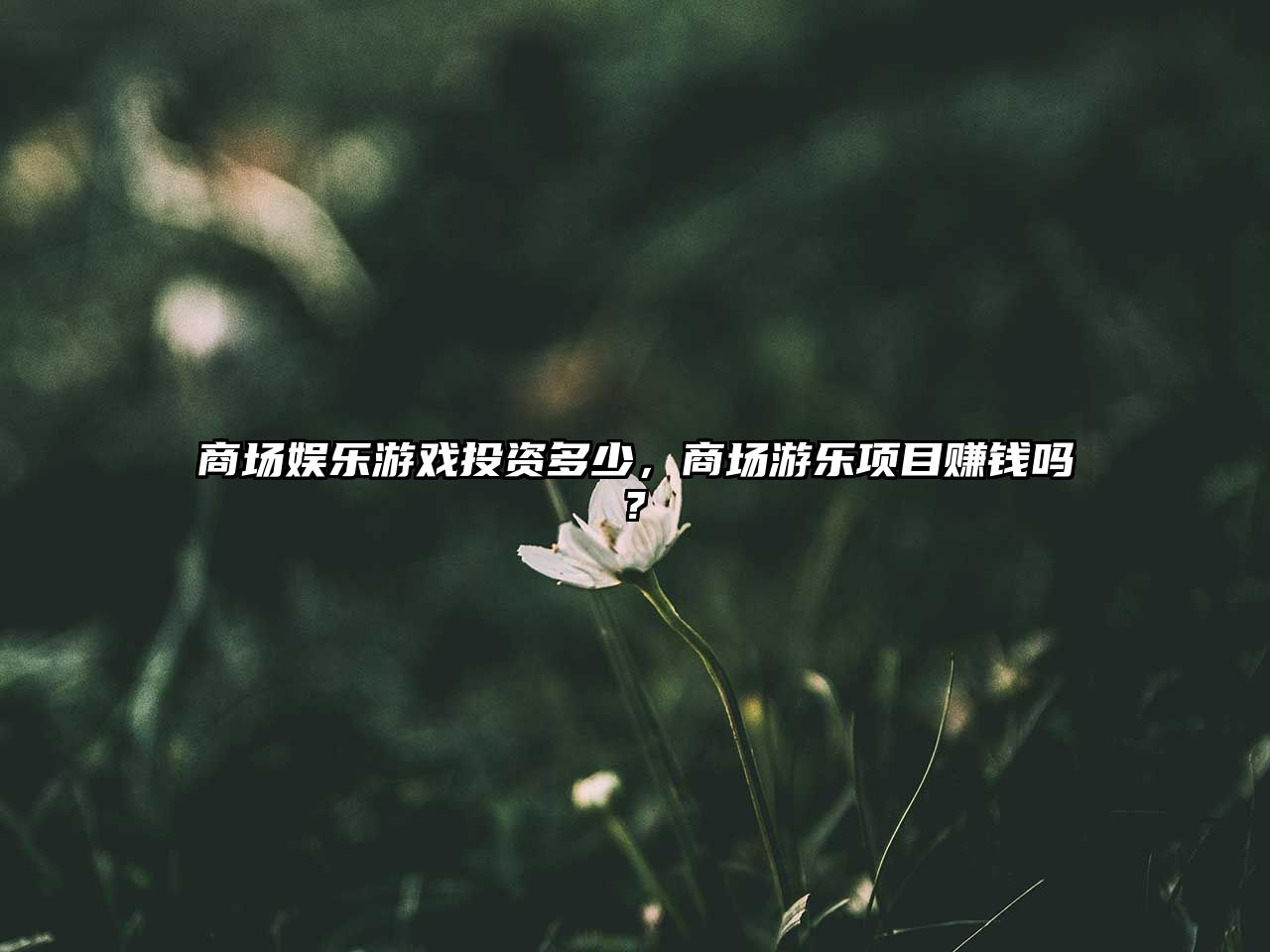 商場(chǎng)娛樂(lè )游戲投資多少，商場(chǎng)游樂(lè )項目賺錢(qián)嗎?