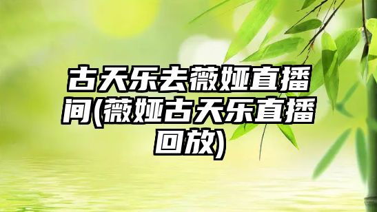 古天樂(lè )去薇婭直播間(薇婭古天樂(lè )直播回放)