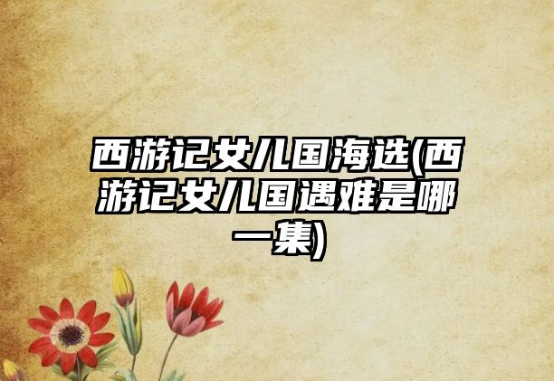 西游記女兒國海選(西游記女兒國遇難是哪一集)