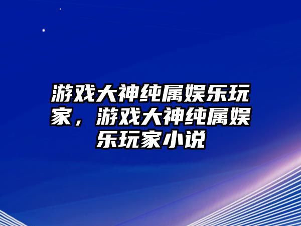 游戲大神純屬娛樂(lè )玩家，游戲大神純屬娛樂(lè )玩家小說(shuō)