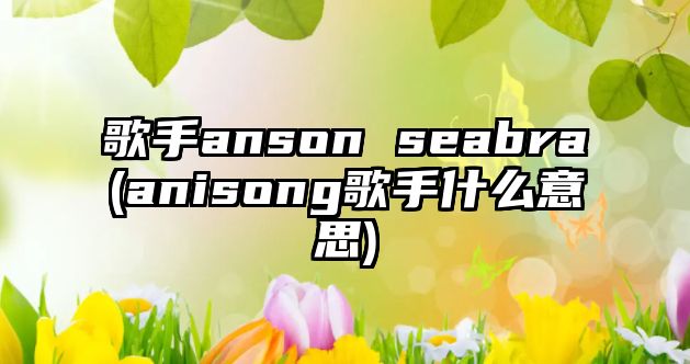 歌手anson seabra(anisong歌手什么意思)