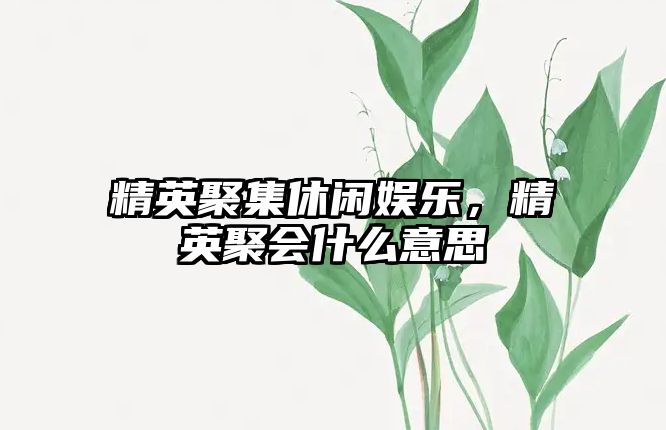 精英聚集休閑娛樂(lè )，精英聚會(huì )什么意思