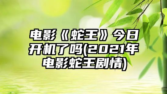 電影《蛇王》今日開(kāi)機了嗎(2021年電影蛇王劇情)