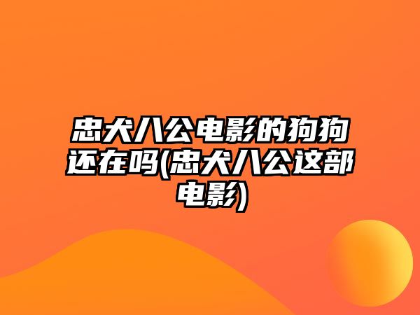 忠犬八公電影的狗狗還在嗎(忠犬八公這部電影)