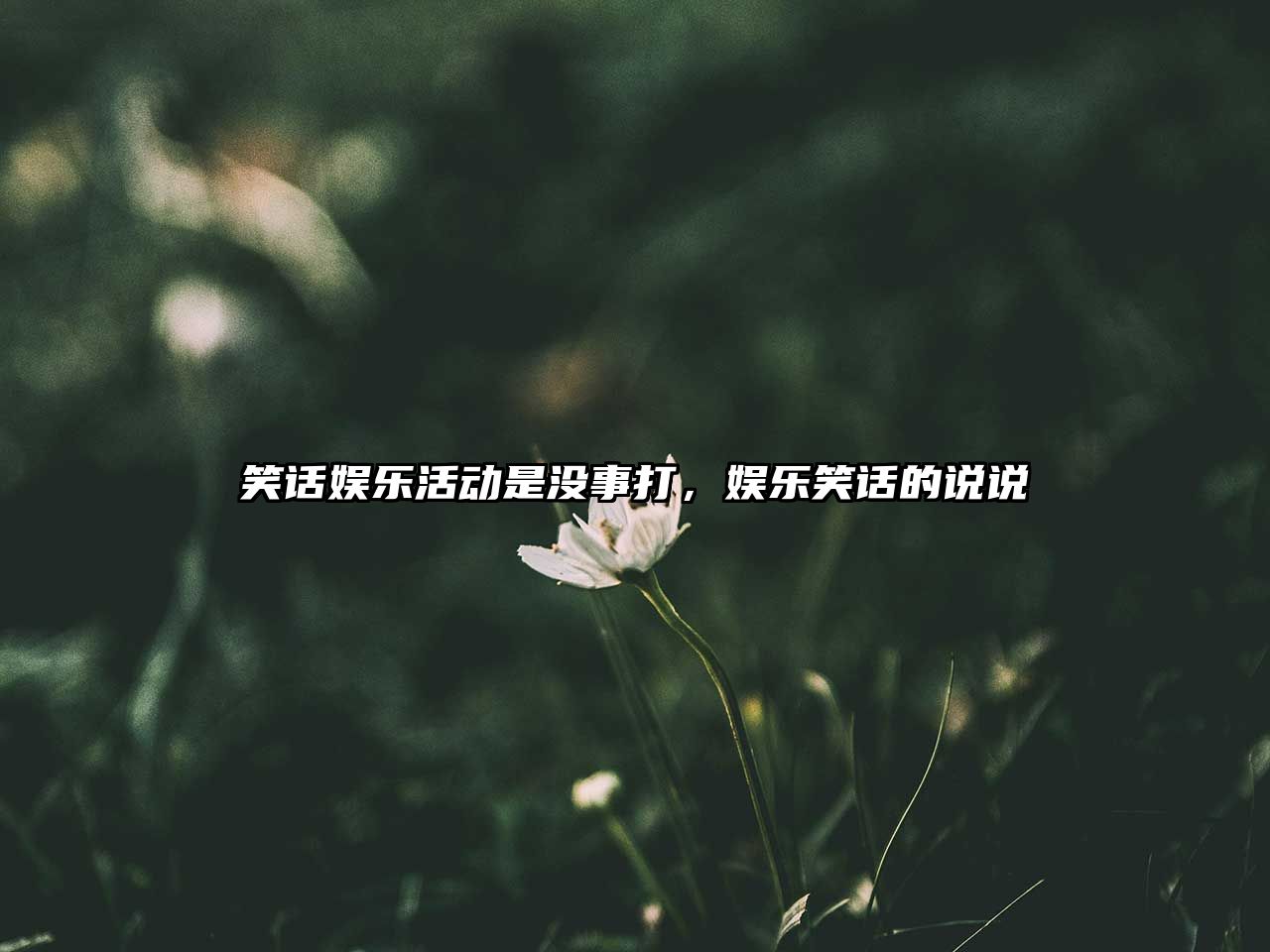 笑話(huà)娛樂(lè )活動(dòng)是沒(méi)事打，娛樂(lè )笑話(huà)的說(shuō)說(shuō)