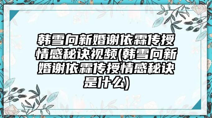 韓雪向新婚謝依霖傳授情感秘訣視頻(韓雪向新婚謝依霖傳授情感秘訣是什么)